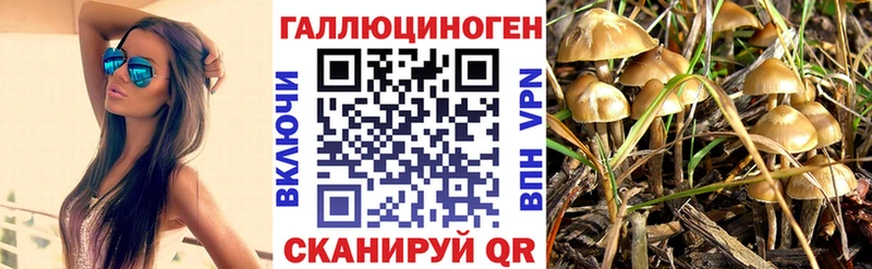 Псилоцибиновые грибы мицелий  дарнет шоп  Кубинка 